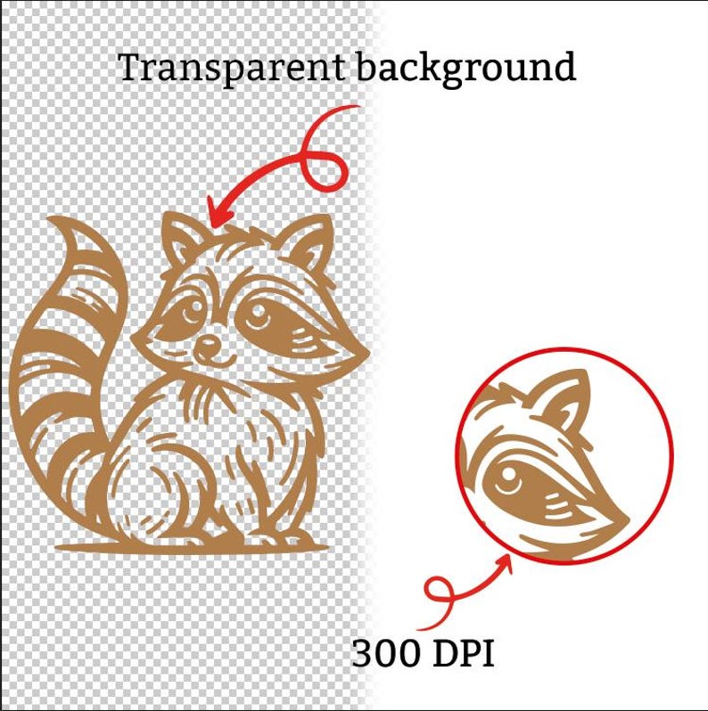 May include: A brown raccoon illustration with a striped tail and a detailed face. The image includes the text "Transparent background" and "300 DPI". A smaller raccoon head is in a red circle.