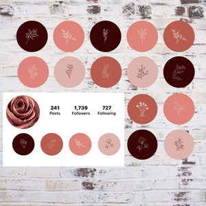 60 Pink Rose Petal Instagram Highlight Covers,  Story Icons, Story Highlights, Social Media Icons For Instagram