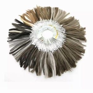 Anillo de color de cabello humano Ewigs / Tabla de colores para sistemas de pelucas masculinas para salones de belleza / Anillo de muestra para igualar el color del cabello real /