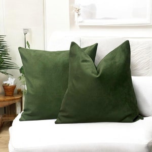 Solid Velvet Pillow Cover, Throw Pillows for Couch and Sofa, Decorative Soft Pillow Cases, Lumbar Euro Sham Cover, Any Color Any Size Pillow