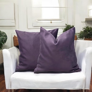 May include: Two purple velvet cushion covers on a white sofa.