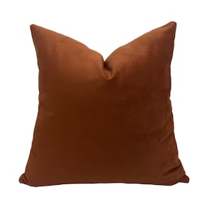 Può includere: Un cuscino quadrato in velluto color arancio bruciato. Il cuscino ha un design semplice.