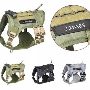 Personalized Tactical Vest | Custom Name Chest Strap for Big Dogs | Personalized Pet Harness
