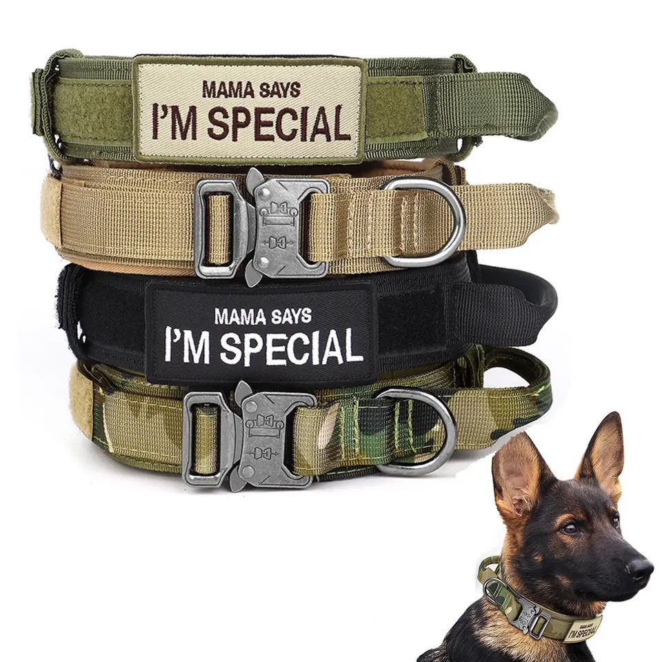 Collier Tactique pour Chien en Nylon réglable K9 Collier Militaire pour  Chien avec Boucle en métal Robuste avec poignée, et Laisse élastique  Tactique en Nylon pour Chien Militaire(M, ArmyGreen) : : Animalerie