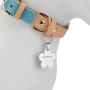 Médaille d'identification personnalisée en forme de fleur pour animal de compagnie | Pendentif personnalisé avec nom et numéro de téléphone