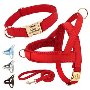 Personalized Chest Harness Collar Leash Set | Custom Name Phone Number Vest Style Chest Strap Harness