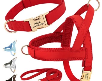 Personalized Dog Harness Collar Leash Set | Custom Name, Vest Style