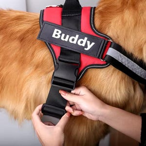 Personalized Reflective No Pull Harness | Custom Name Phone Number Dog Chest Strap Harness