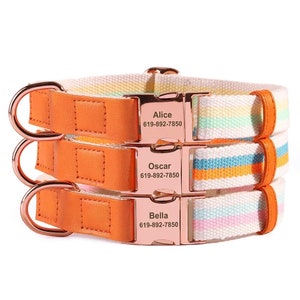 Collare per animali domestici personalizzato con incisione a righe in oro rosa / Targhetta identificativa per collare per cani con nome personalizzato
