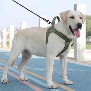 Gepersonaliseerde tactische borstharnas voor middelgrote grote honden | Aangepaste naam Telefoonnummer Veststijl Borstbandharnas