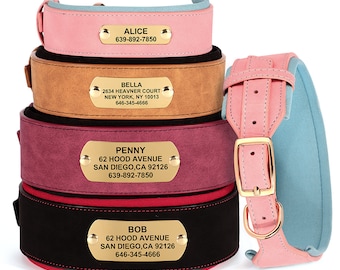 Personalized Padded Leather Dog Collar | Engraved Custom Collar for Large Dogs