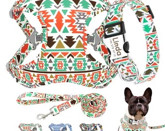 Personalized Dog Harness Collar Leash Set | Custom Name, Nylon Vest