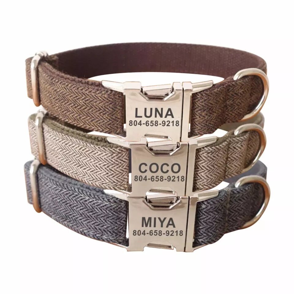 Chewy Vuitton Dog Collar #5 Chewy Vuitton Dog Collar