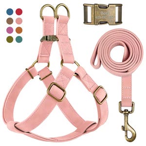 Personalized Leather Chest Harness & Leash Set | Custom Name Phone Number Dog Chest Strap Harness