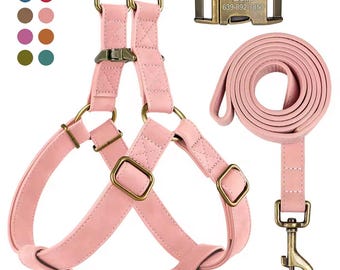 Personalized Leather Dog Harness | Custom Name & Number Chest Strap