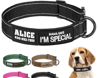 Personalized Reflective Dog Collar  | Custom Name Number ID Collar