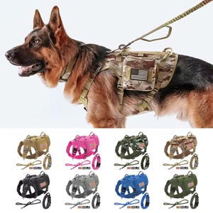 Puede incluir: Un perro pastor alemán con un arnés táctico de camuflaje para perros con un parche de la bandera estadounidense. La imagen muestra el arnés en varios colores, incluyendo rosa, negro, gris y azul, cada uno con una correa y collar a juego.