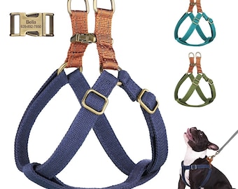 Personalized Dog Chest Harness | Custom Name & Number Dog Vest