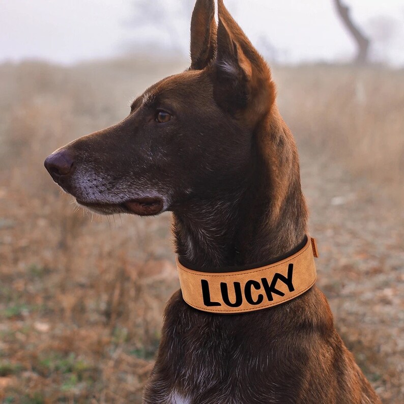 Personalized Leather Large Dog ID Collar Custom Name or Number Leather