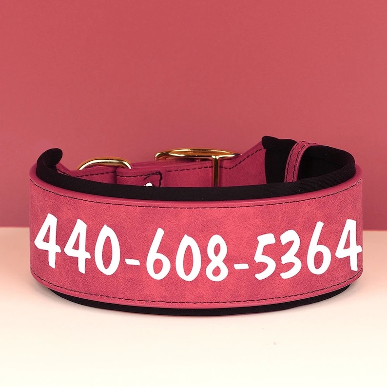 Personalized Leather Large Dog ID Collar Custom Name or Number Leather