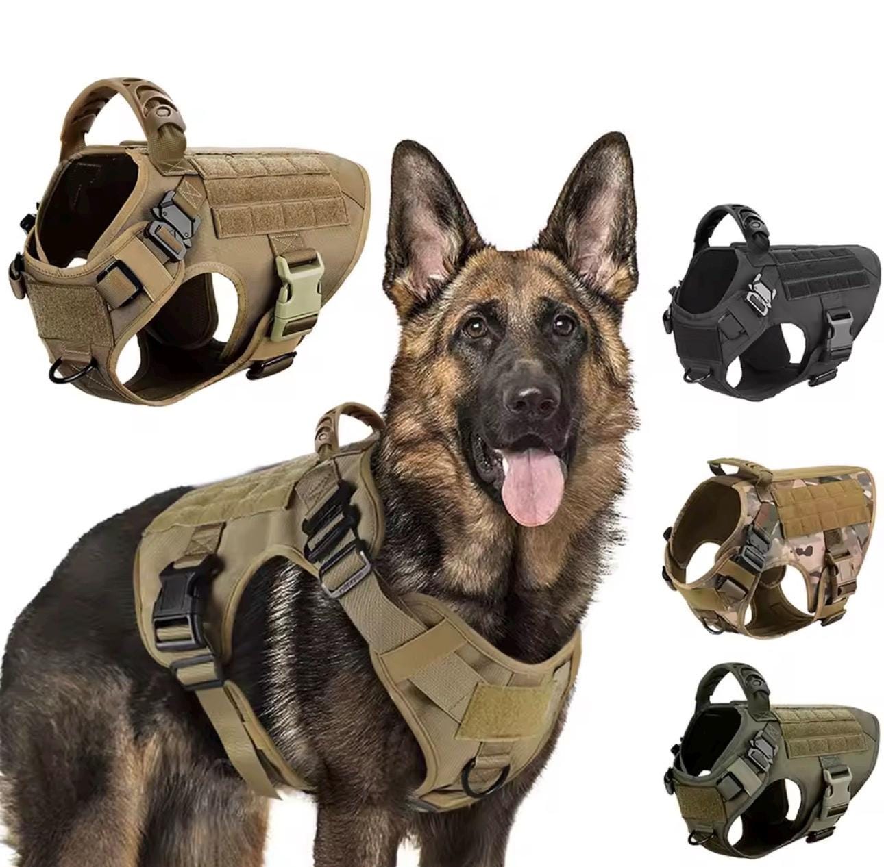 Collar for malinois - Etsy.de