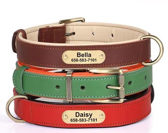 Personalisierte Leder Hundehalsband | Gravierte ID, gepolstertes Haustierhalsband