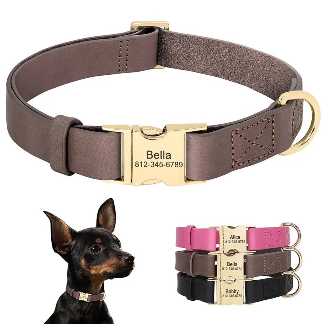 Personalized Leather Dog Collar | Custom Engraved Pet ID, Gold Buckle ...