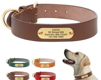 Personalized Leather Dog Collar | Engraved ID, Padded Pet Collar