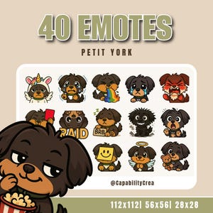 Twitch emotes kawaii dog Little York | Pack 40 emotes PNG transparent background | Cute cartoon dog emotes for streamers