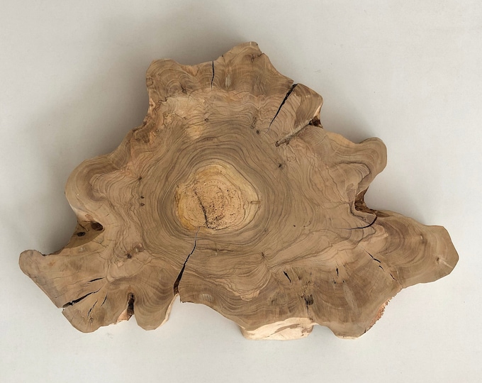 Live Edge Wood Slab Raw Edge Wood Slab 19 Live Edge Olive Wood Live