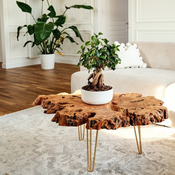Olive wood clearance coffee table