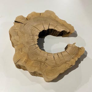 17.5&quot; Olive Wood Slab: Raw Edge Wood Slice for DIY Art