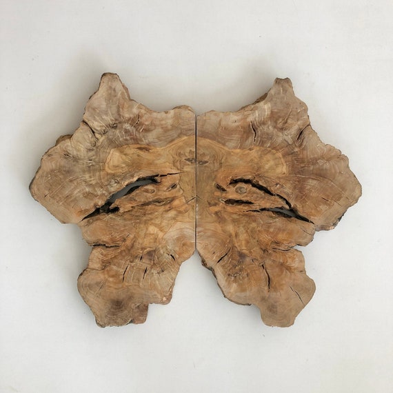 Live Edge Wood Slab Slab Wood for Epoxy 2 Pcs Olive Wood Etsy