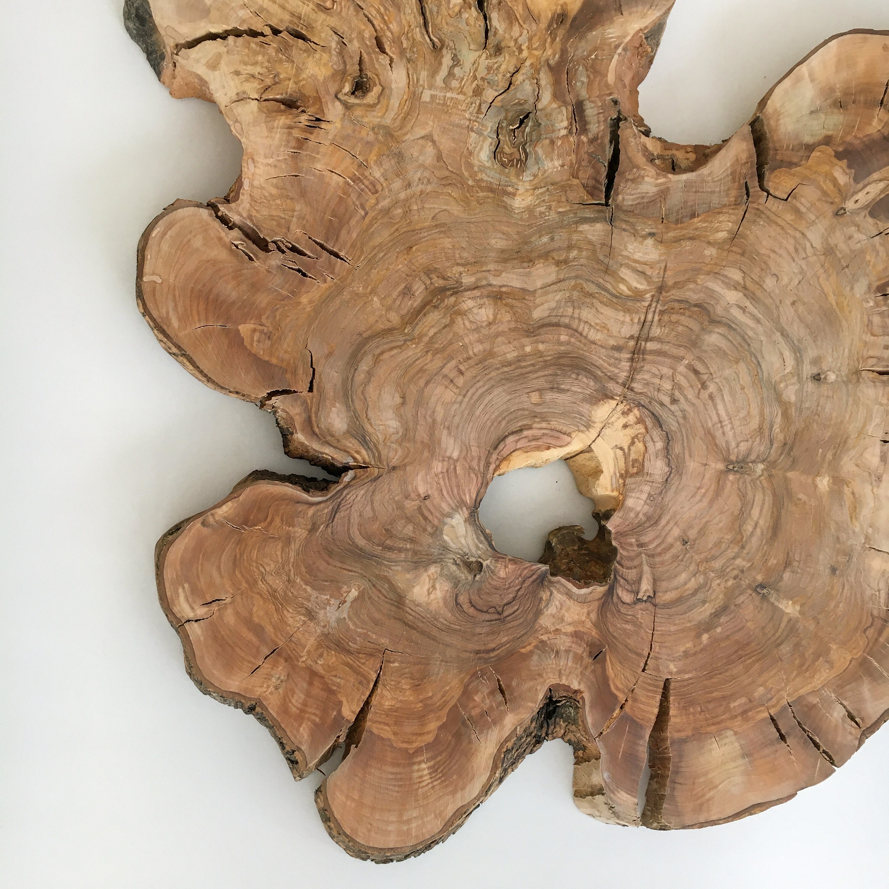 Live Edge Wood Slabs Olive Wood Slab Live Edge Raw Wood Etsy