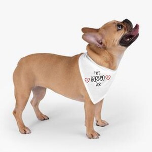 He&#39;s Barked For Pet Bandana, She&#39;s Barked For Pet Bandana, Valentine&#39;s Day Pet Clothing, Valentine&#39;s Day Matching Pet Owner