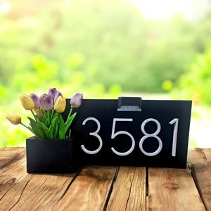 May include: A black address sign with white numbers 3581 and a small planter box with yellow and purple tulips. The sign is on a wooden surface with a blurred green background.