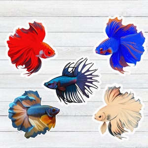 May include: Five colorful fish illustrations with flowing fins and tails. The fish are red, blue, black, white, and yellow. The illustrations are on a white wood background.