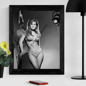 RAQUEL WELCH, Celebrity 8 x 10 Photo, Vintage Photo, Printable Photo, Instant Download, 300 DPI, Wall Art