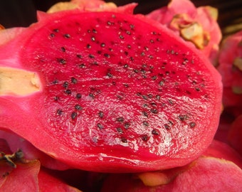 Hylocereus undatus 25 Seeds (Red fruit) - Dragon Fruit