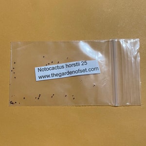 Notocactus horstii 25 semillas