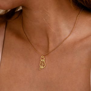May include: A gold-colored necklace featuring a cat pendant. The pendant has the name "Riley" written in cursive script. The necklace is worn around the neck.