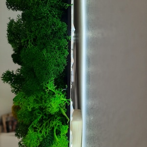 NOUVEAU Décoration arbre de vie avec mousse, lichens naturels stabilisés, décoration murale verte, cadeau pour elle, cadeau pour lui, cadeau pour la maison et l'entreprise image 6