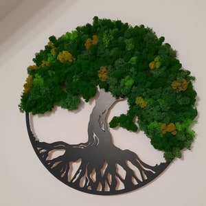 NOUVEAU Décoration arbre de vie avec mousse, lichens naturels stabilisés, décoration murale verte, cadeau pour elle, cadeau pour lui, cadeau pour la maison et l'entreprise image 2