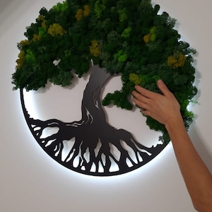 NOUVEAU Décoration arbre de vie avec mousse, lichens naturels stabilisés, décoration murale verte, cadeau pour elle, cadeau pour lui, cadeau pour la maison et l'entreprise image 7