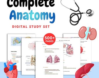 Complete Anatomy Study Bundle | 550+ Pages Notes, Flashcards & Practice Questions | Digital Med School Notes by Medical Student