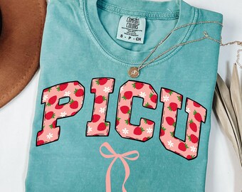 PICU Nurse Shirt Kinderintensivstation Shirt PICU Nurse Tshirt Komfort Farben Krankenschwester Wertschätzung Geschenk Kinderpflegerin PICU