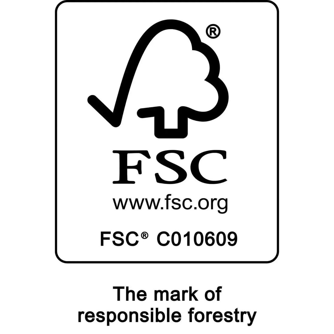 Teenage Mutant Ninja Turtles Movie 2024 Square Calendar 12x12 Etsy