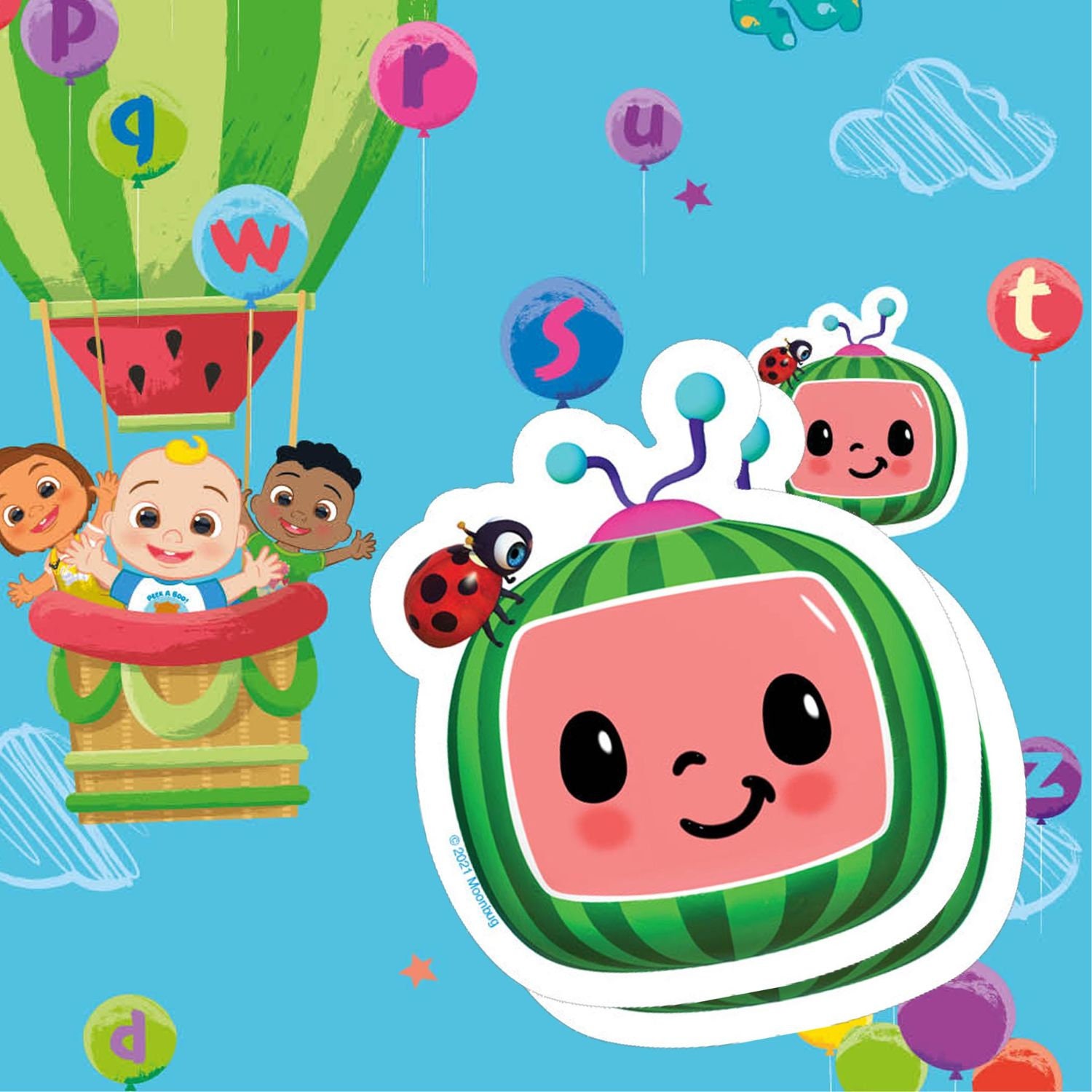 Birthday Wrapping Paper Sheet and Tag Gift Wrap Sustainably