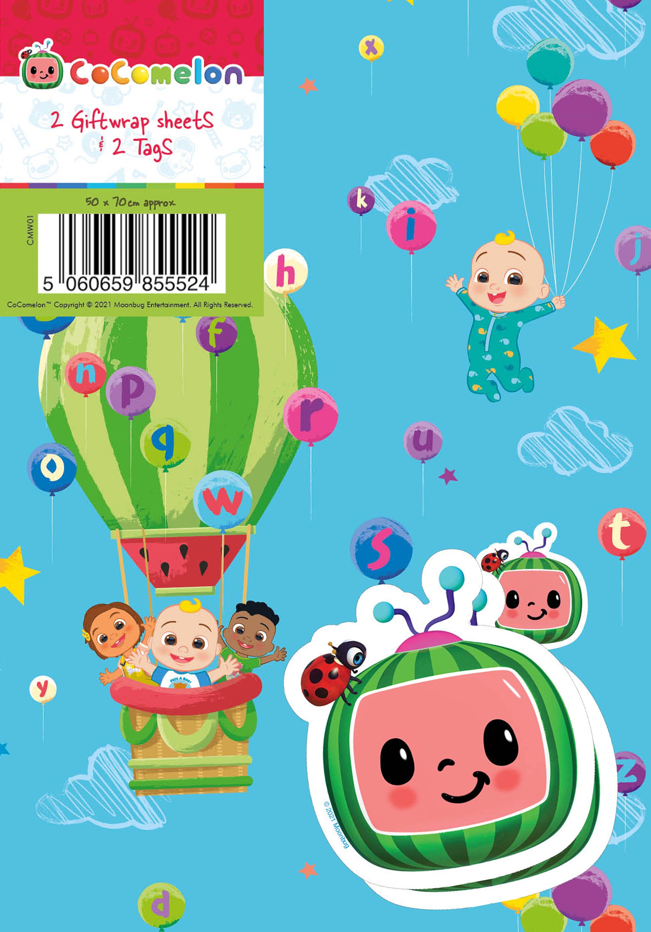 Birthday Wrapping Paper Sheet and Tag Gift Wrap Sustainably