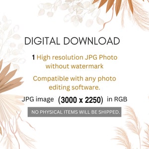 May include: Digital download of a high-resolution JPG photo of dried pampas grass and eucalyptus branches. The image is 3000 pixels wide by 2250 pixels tall and is compatible with any photo editing software.